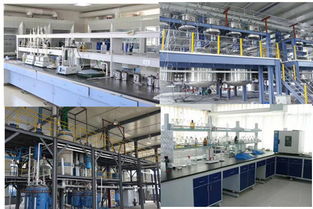 高效管理，助力成長——歡迎探索企業管理咨詢的專業價值